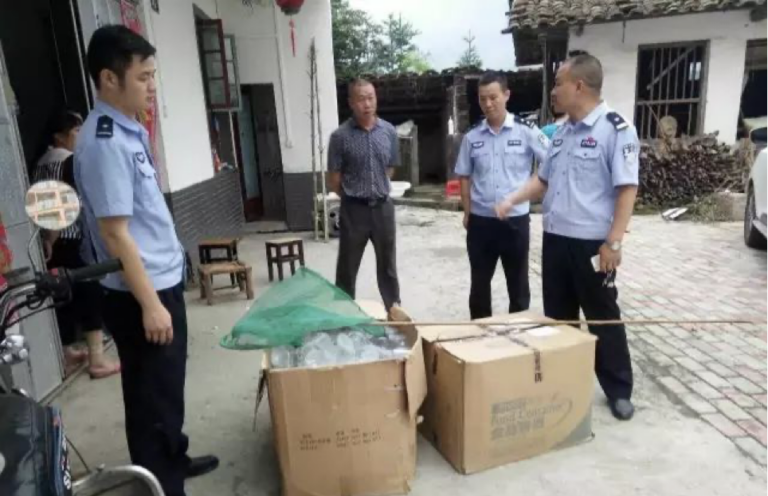 Restoring the Night Sky of Xiaobu: Firefly Protection in Action